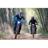 Surron Light Bee L1E Road Version - 2023 - Grey