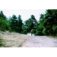 Surron Storm Bee F - Off-Road
