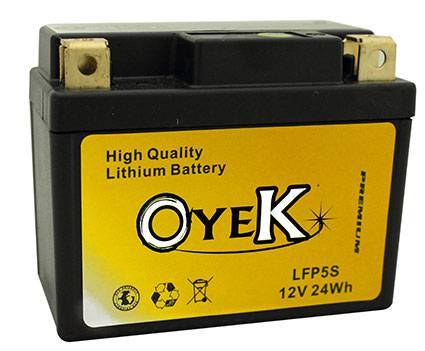 Oyek Premium Lithium Batteries - LFP20L