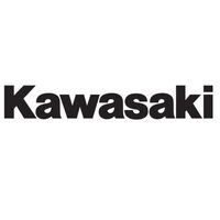 Factory Effex Kawasaki Logo Decal