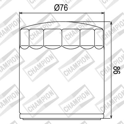 Champion Oil Filter Element - COF074C [Chrome]