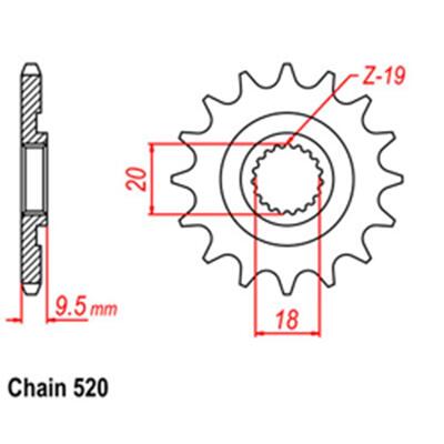 Front Sprocket - Steel  13T 520P