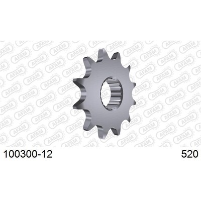 AFAM 12T 520 Polaris Sportsman