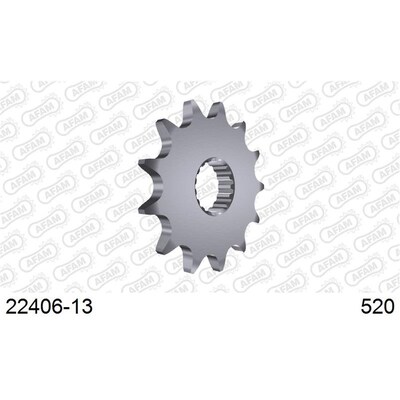 AFAM 13T 520 Rmz450 05 -
