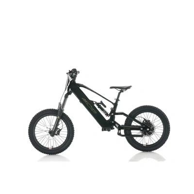 Azonic Elite 20 - 48V/15AH/1000W