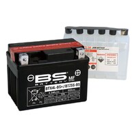 BTBTZ5S-BS