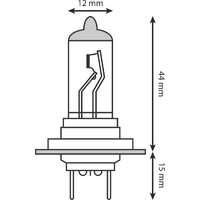H7 HALOGEN BULB 12V 55W