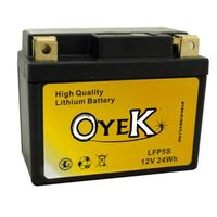 Oyek Premium Lithium Batteries - LFP01 