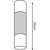 30AMP GLASS FUSE (10/PK)