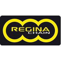 Regina Z-Ring 530ORP4 114 Link Chain