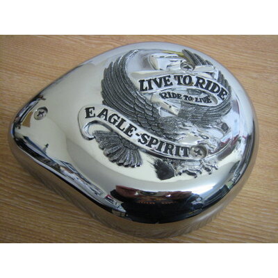 AIR CLEANER CV LIVE TO RIDE T/
