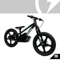 Stacyc Brushless 18E Drive Bike