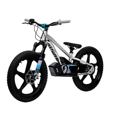 Stacyc 20eDrive Team Edition - Silver Stainless