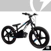 Stacyc Brushless 20E Drive Bike