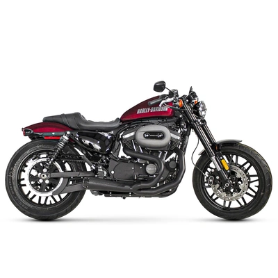 Two Brothers Racing Carbon Tip Full System for Harley-Davidson Sportster '14-23 - Black