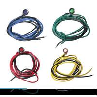 Zodiac Coloured Indicator Green Lights