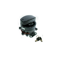 Zodiac Electronic Ignition Switch